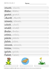 DSS_2S_Bu_t_Nr_12.pdf